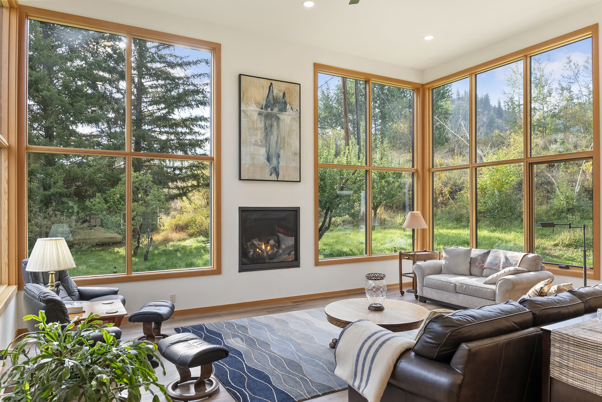 Dragonfly — Dsc08395