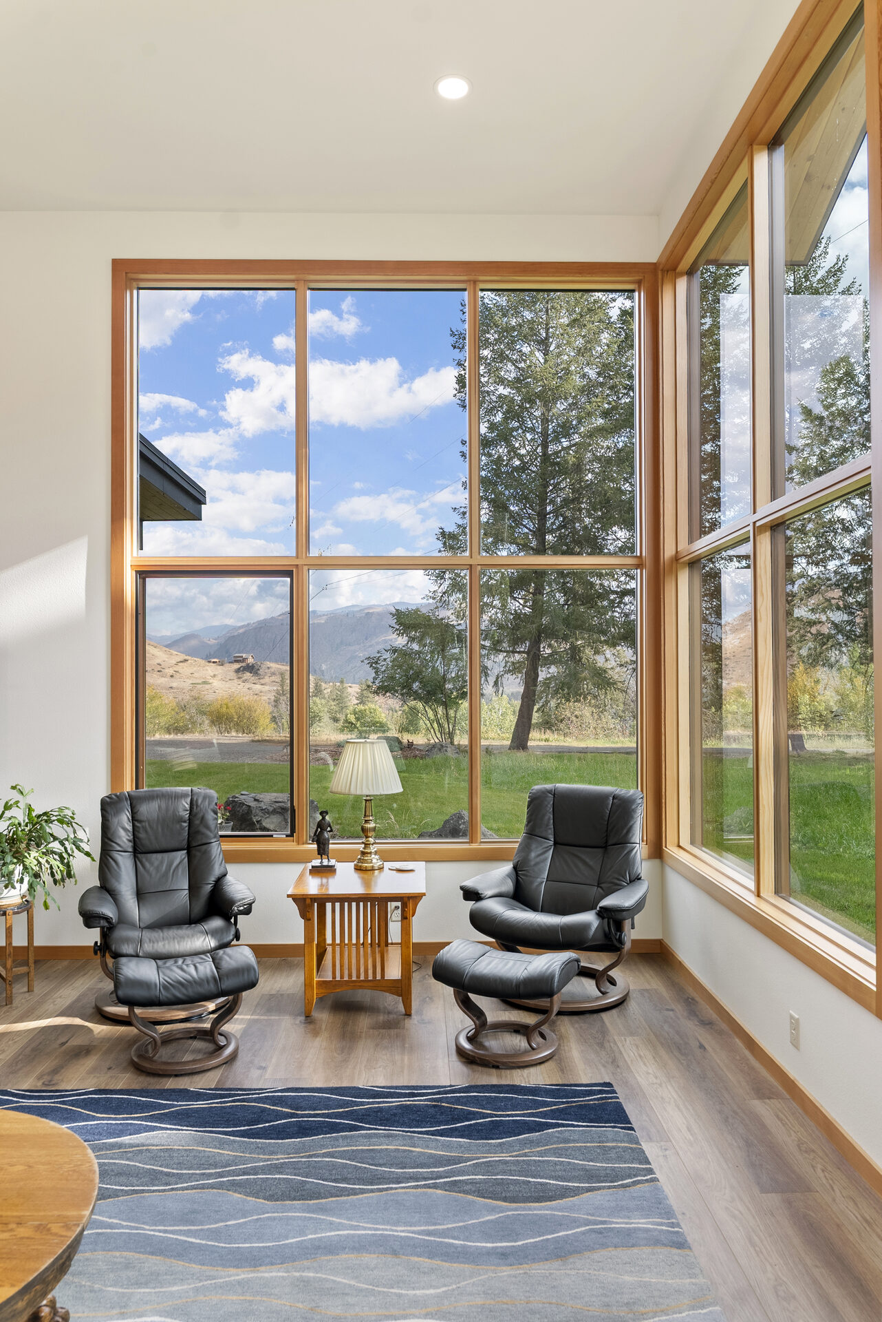 Dragonfly — Dsc08435