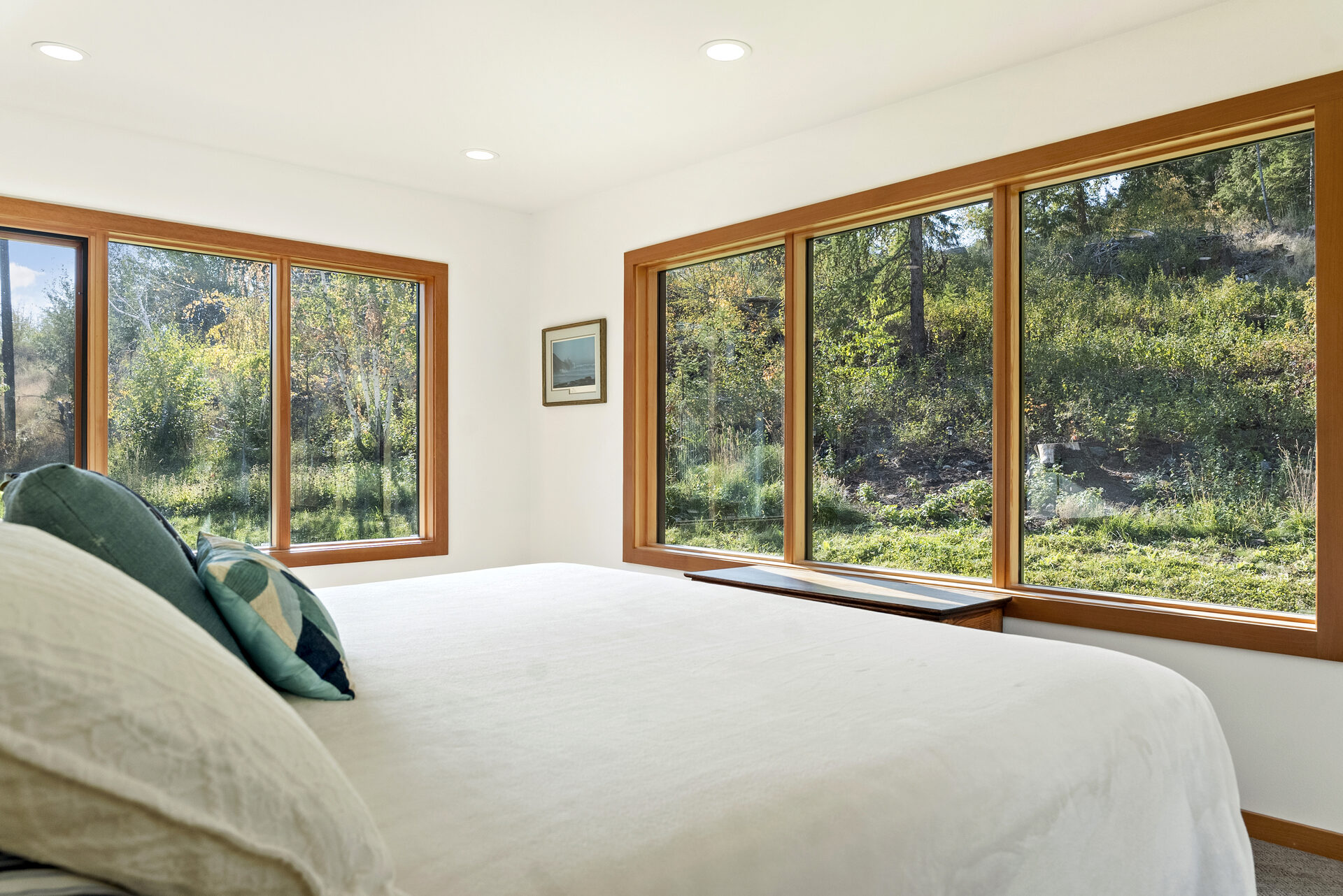 Dragonfly — Dsc08914