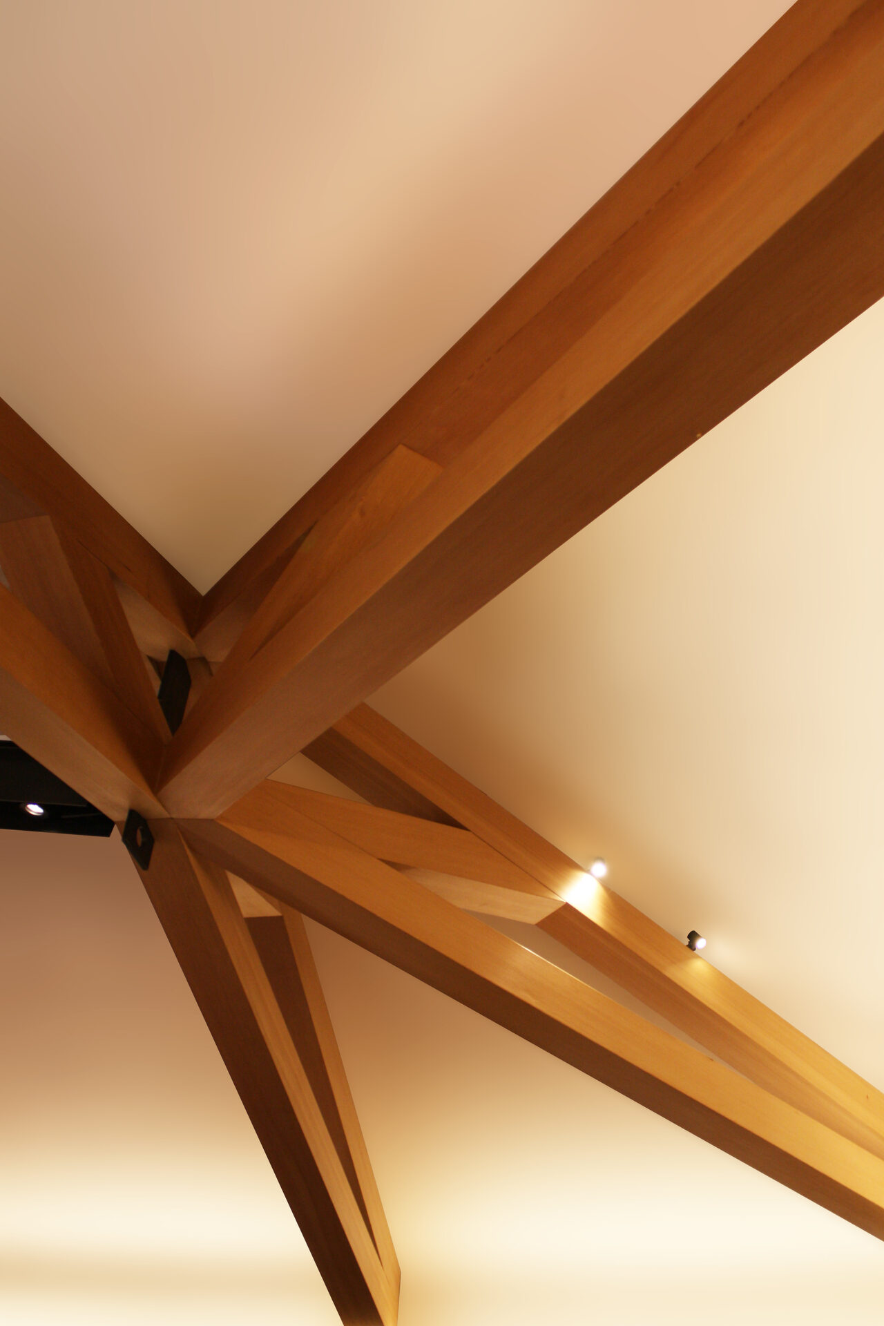 Landmark Residence — residential architecture, Seattle, WA