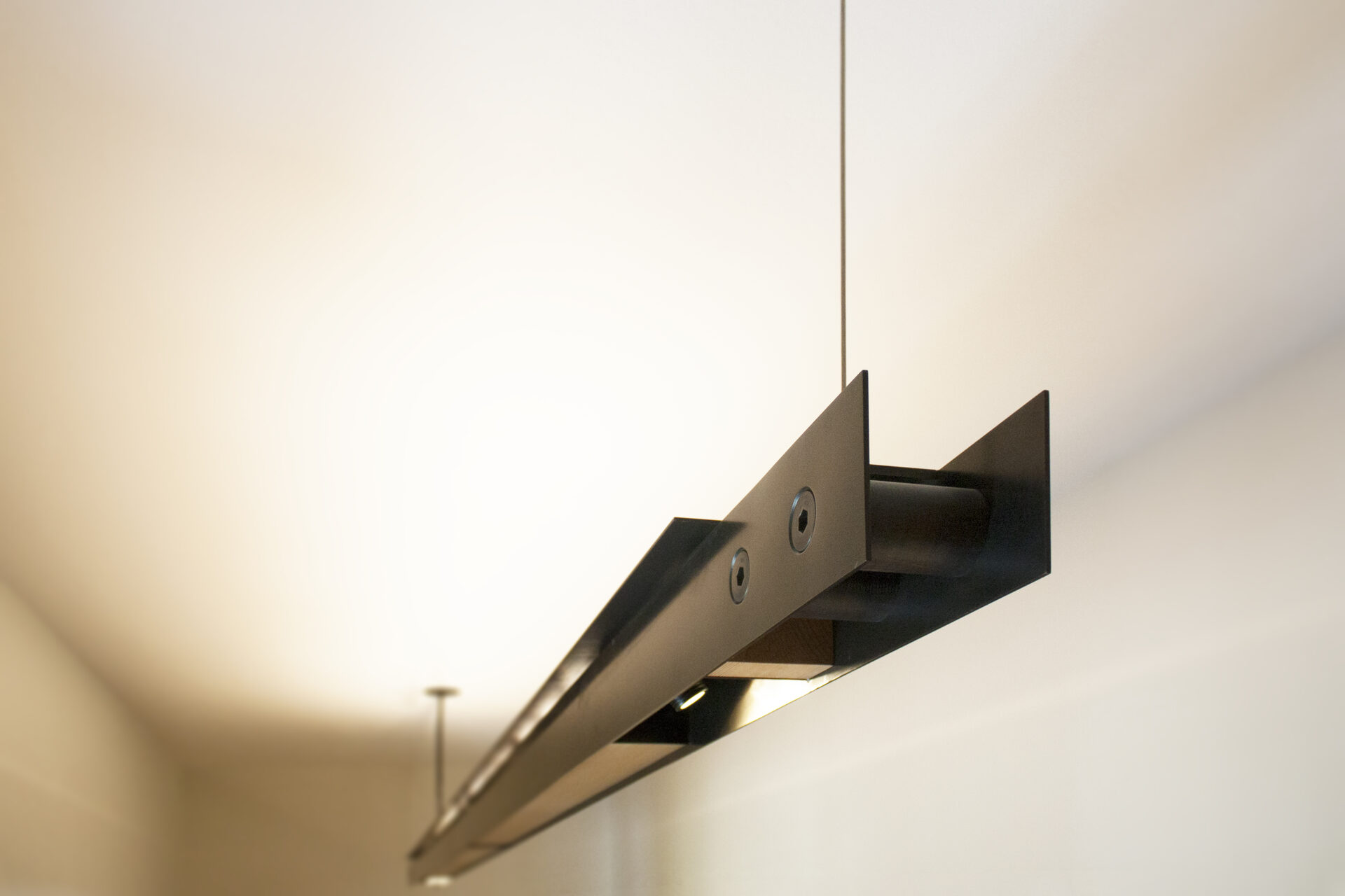 Landmark Residence — residential architecture, Seattle, WA