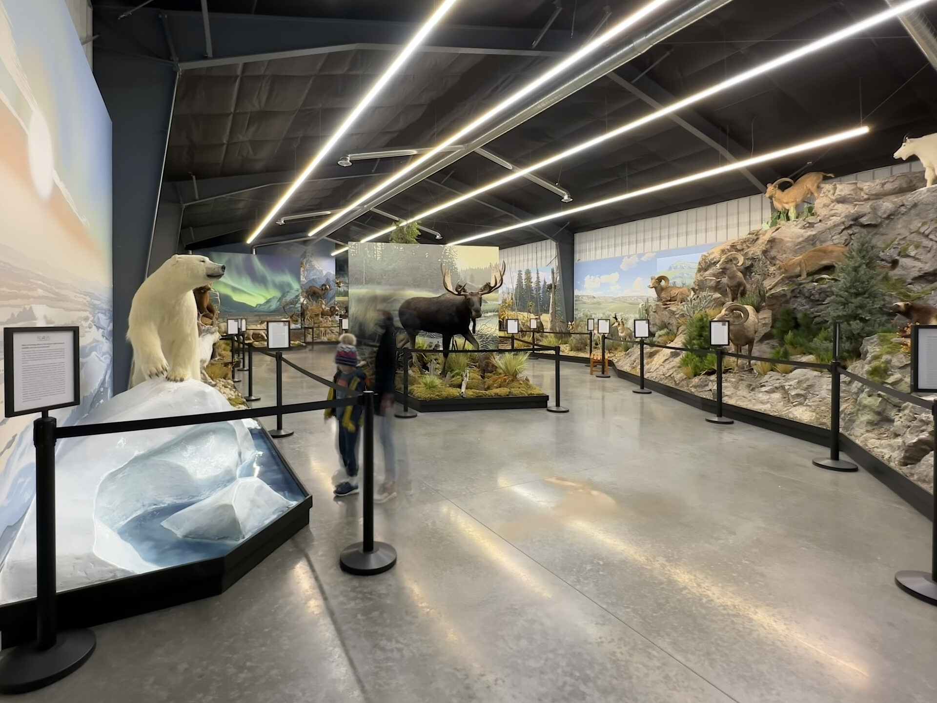 Natural History Museum