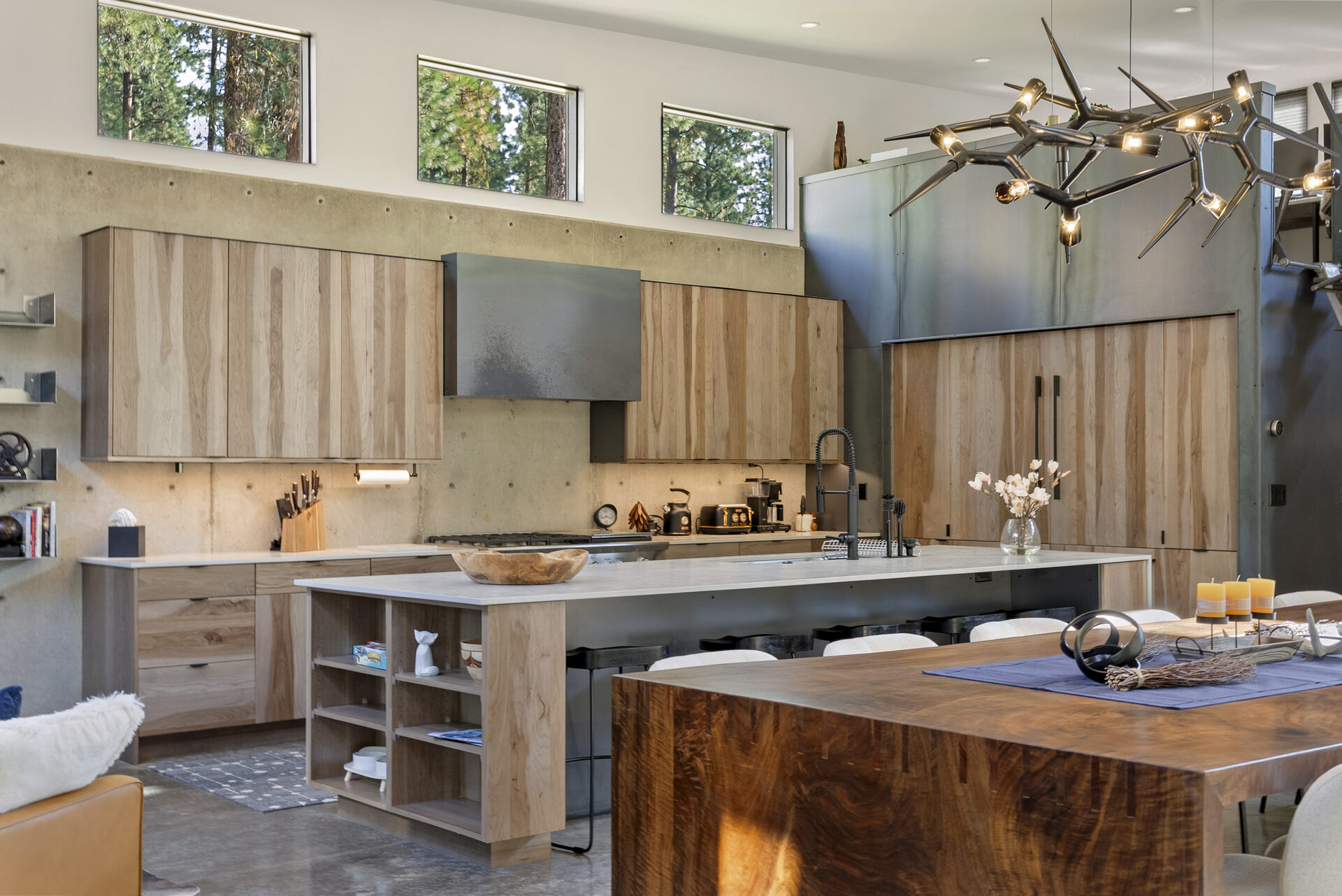 The Tree Line — Dsc07357