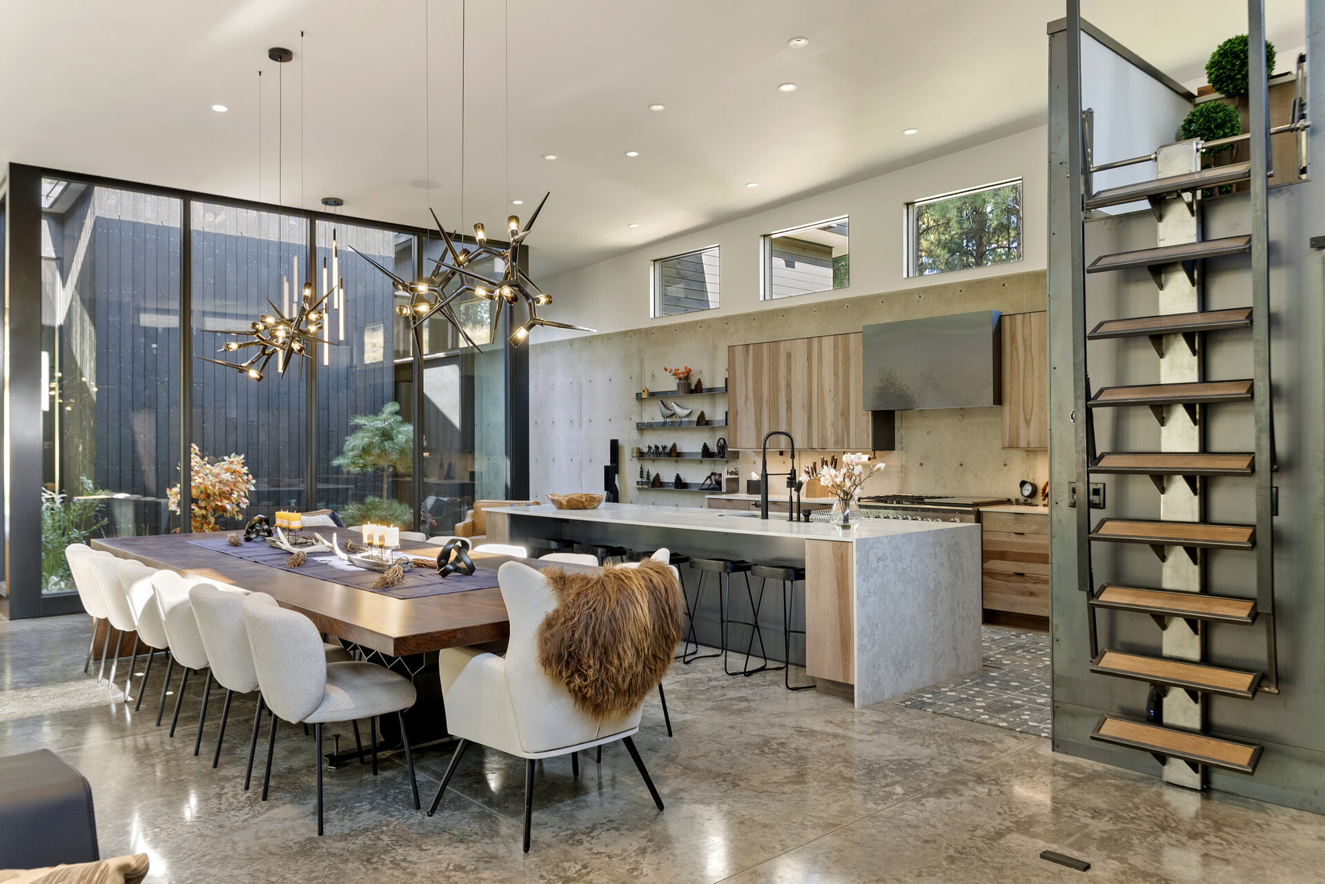 The Tree Line — Dsc07367