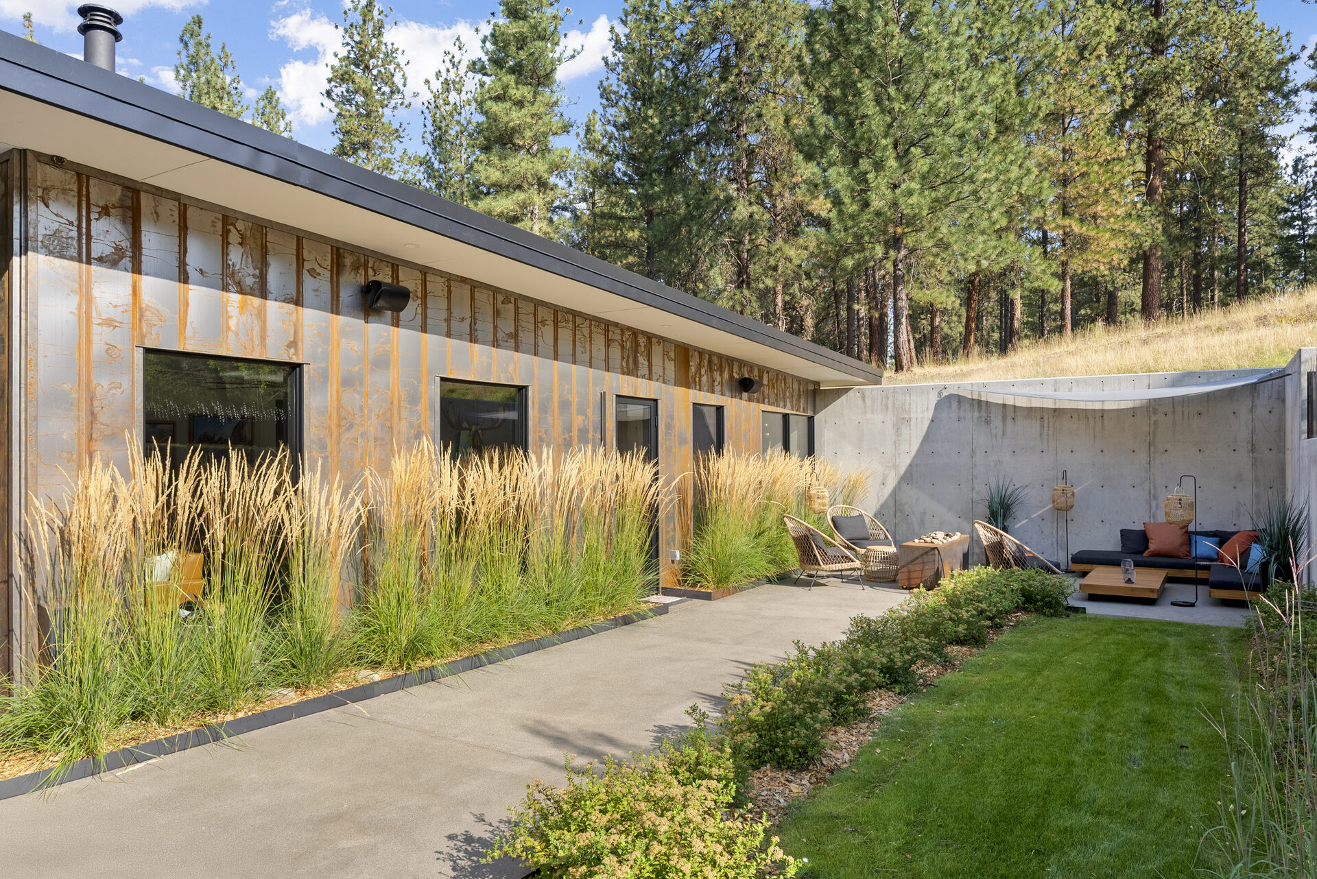 The Tree Line — Dsc07496