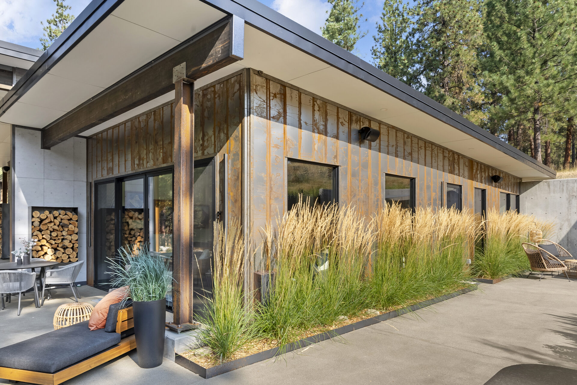 The Tree Line — Dsc07506