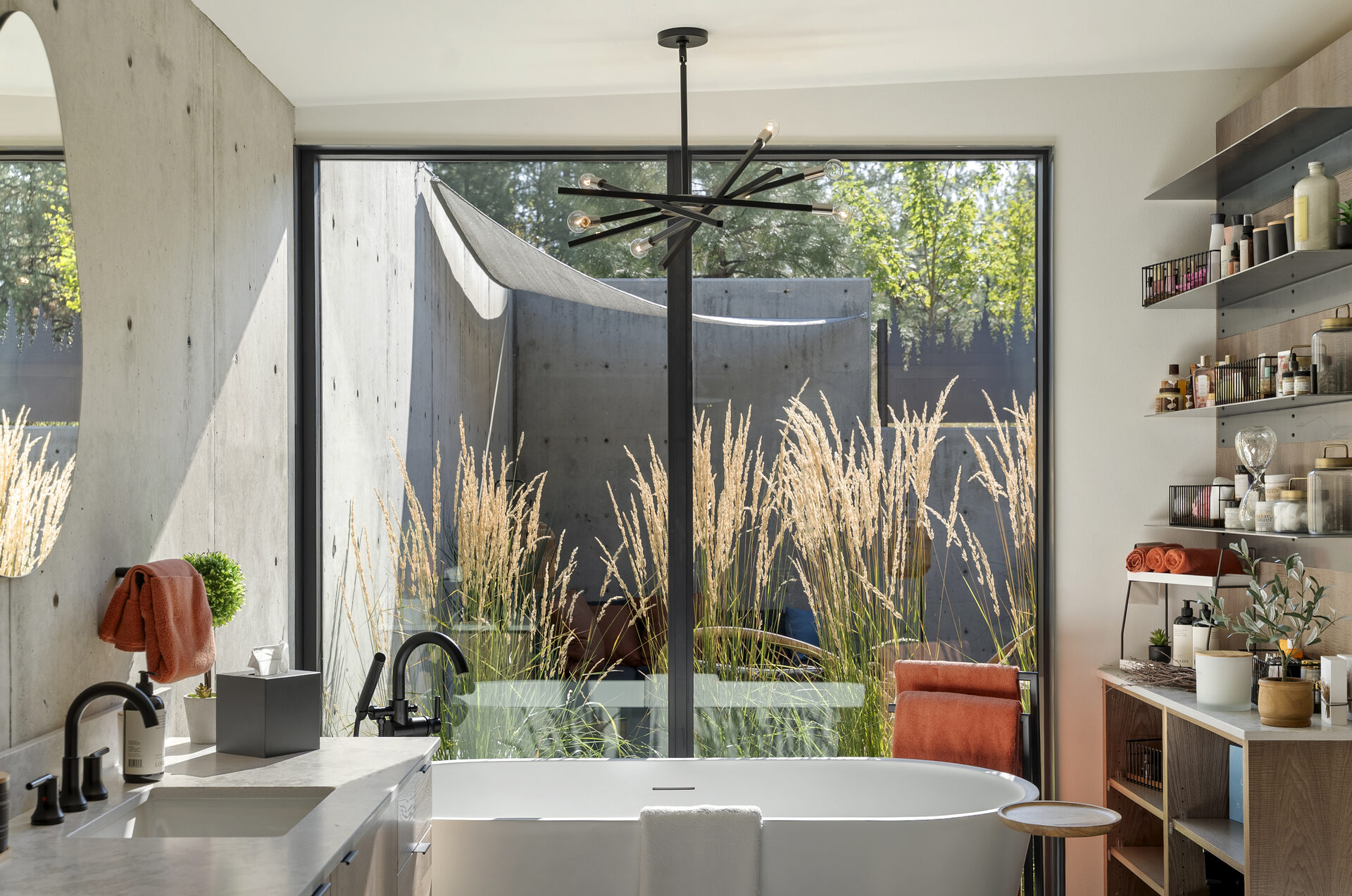 The Tree Line — Dsc07561