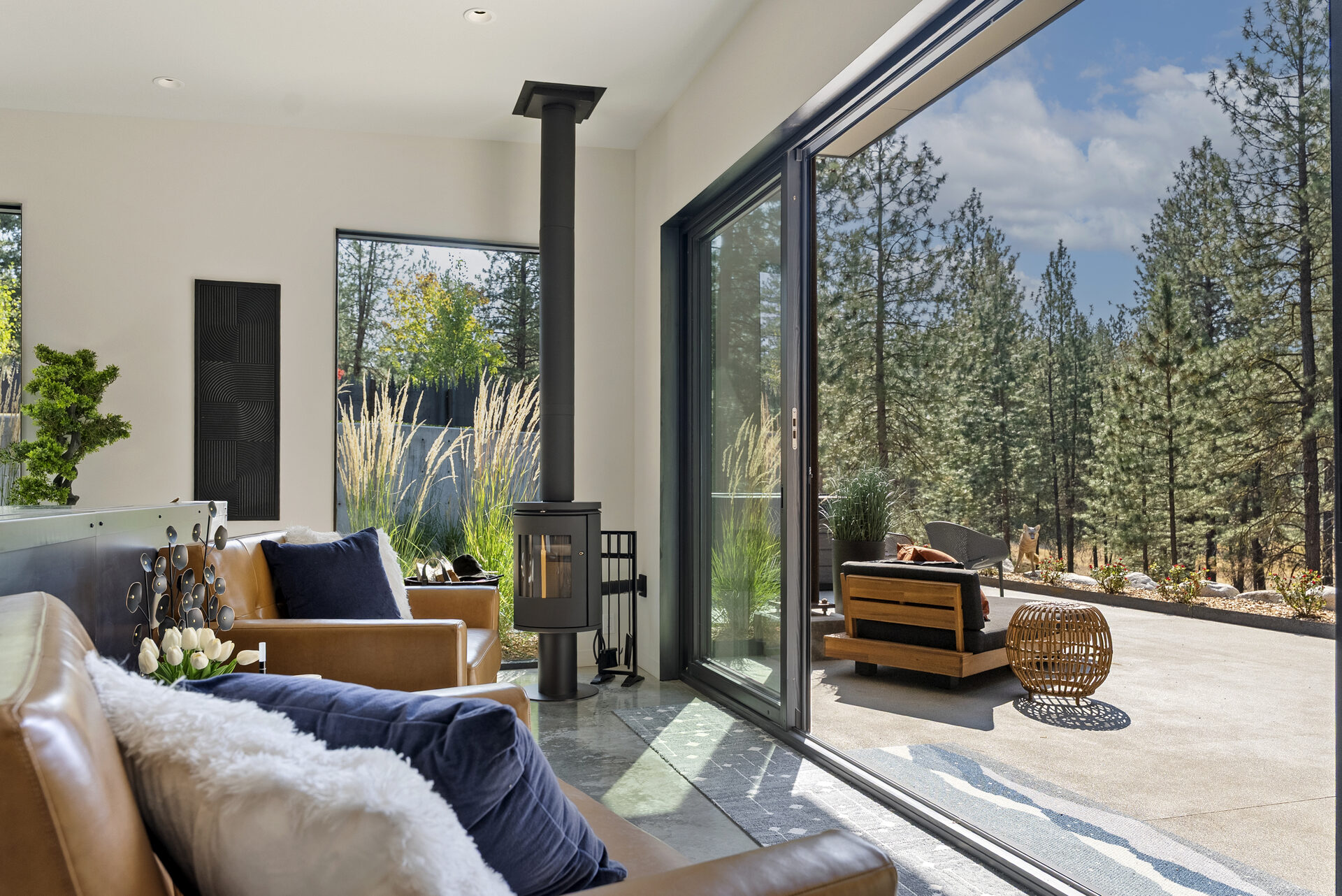 The Tree Line — Dsc07945