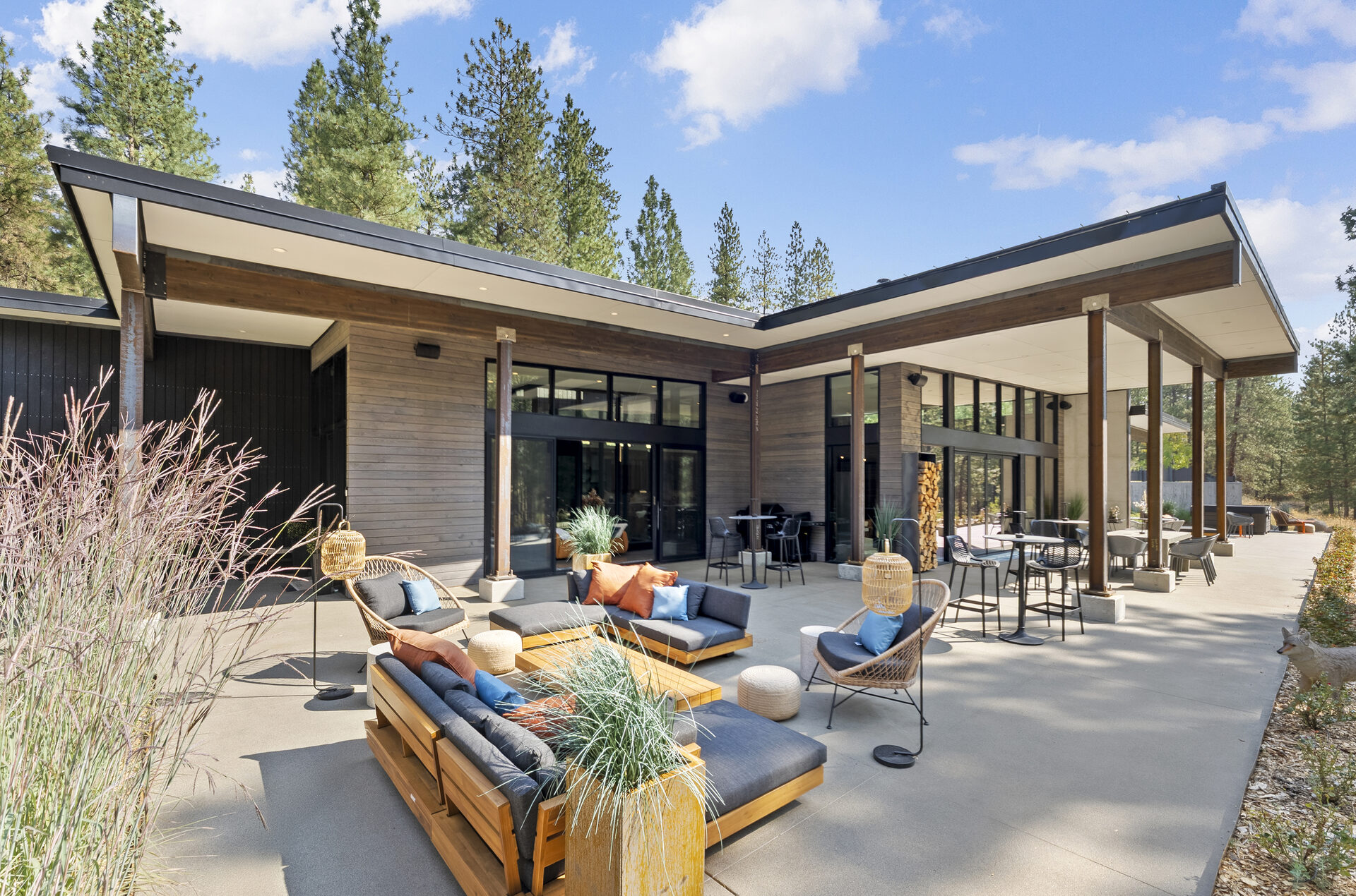 The Tree Line — Dsc08031