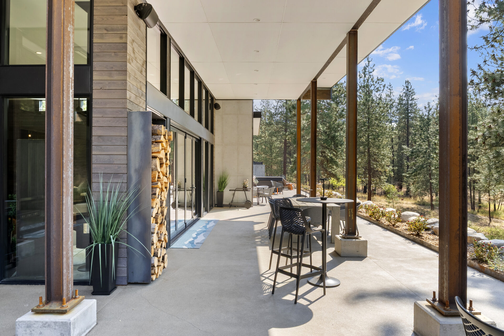 The Tree Line — Dsc08046