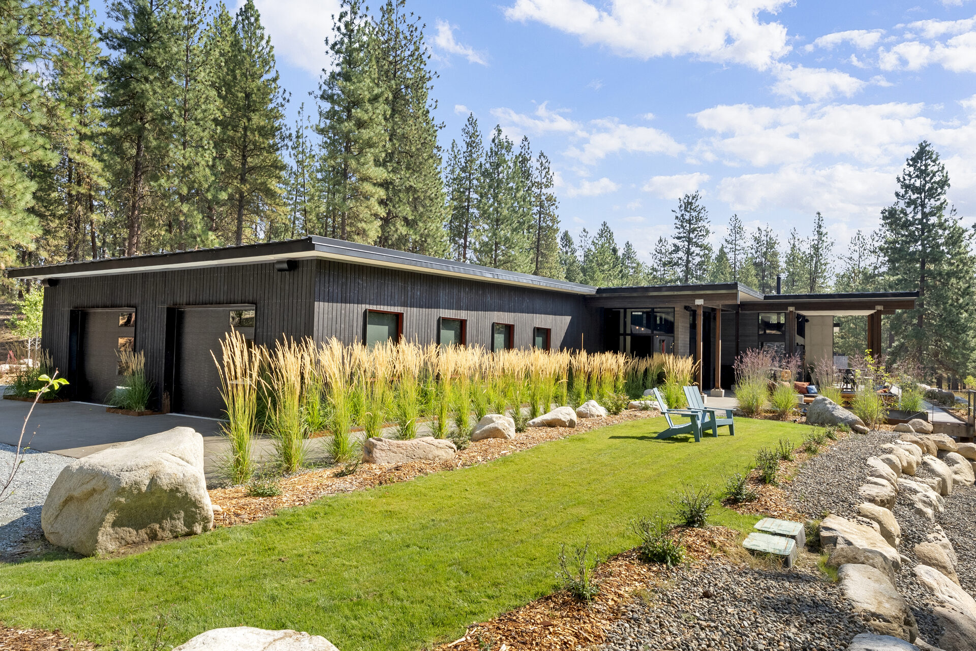 The Tree Line — Dsc08060