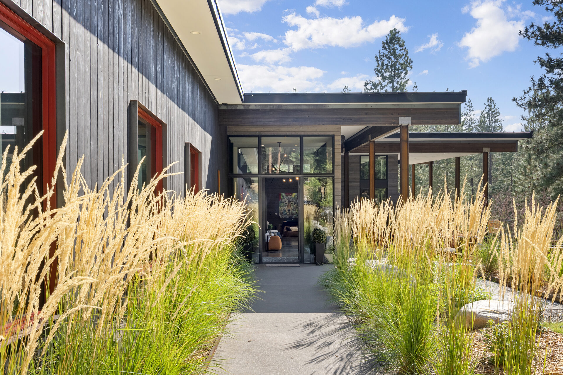 The Tree Line — Dsc08080