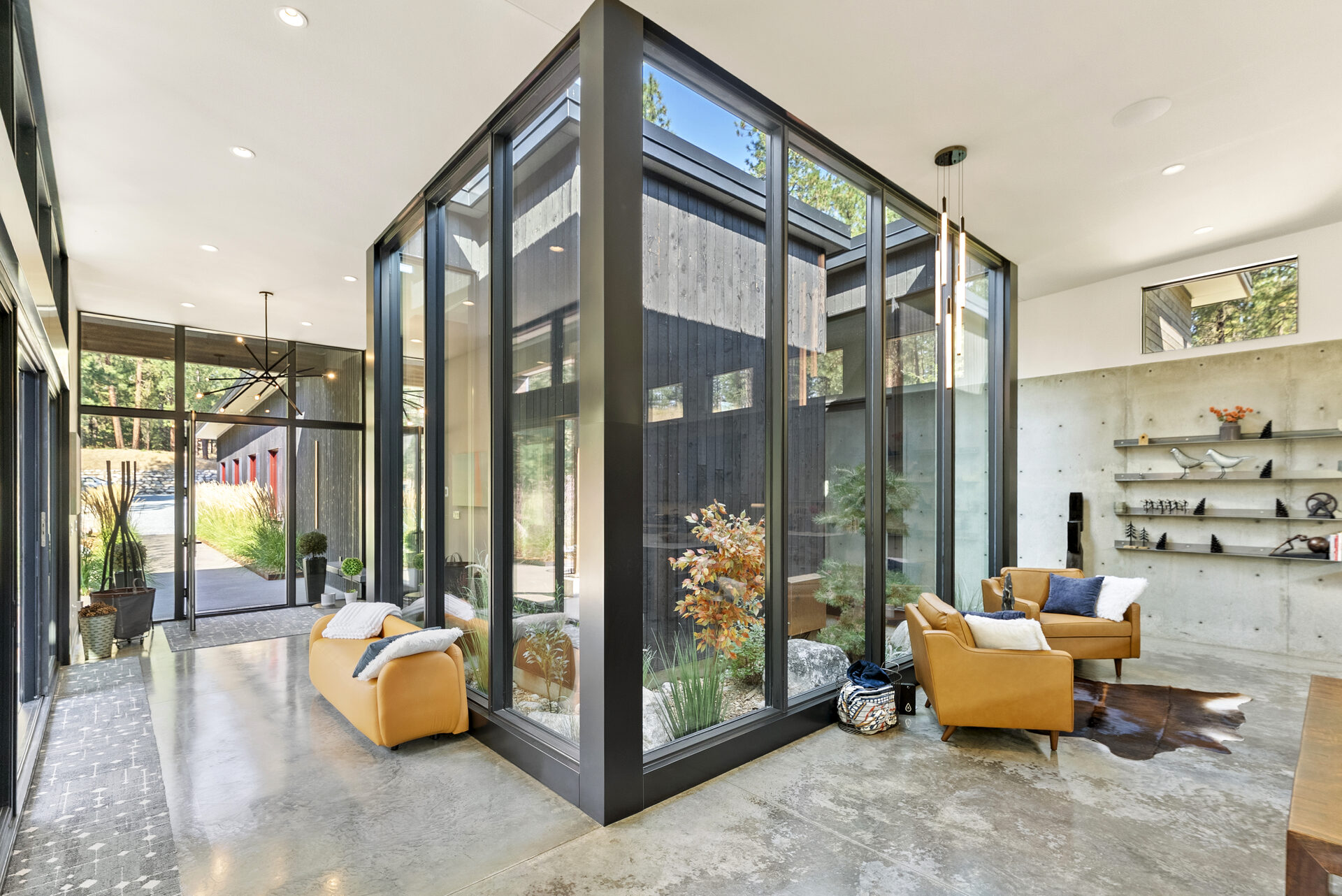 The Tree Line — Dsc08151